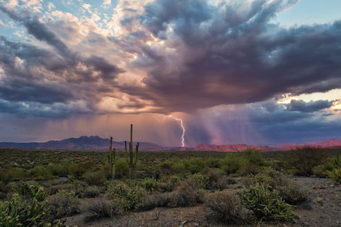 Arizona monsoons can be damaging to homes if the roofs are leaking.