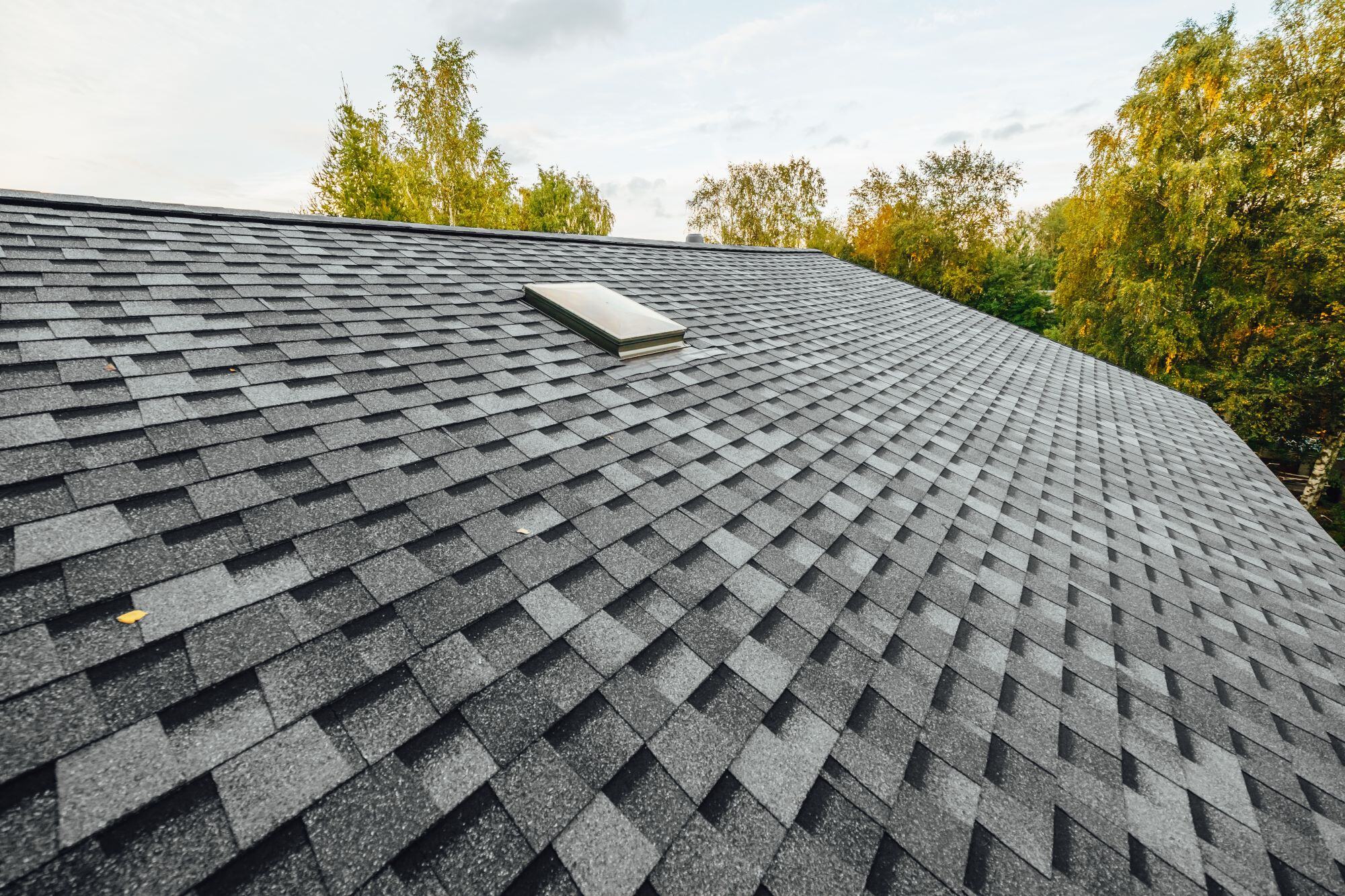 Stock Image of Shingled Roof